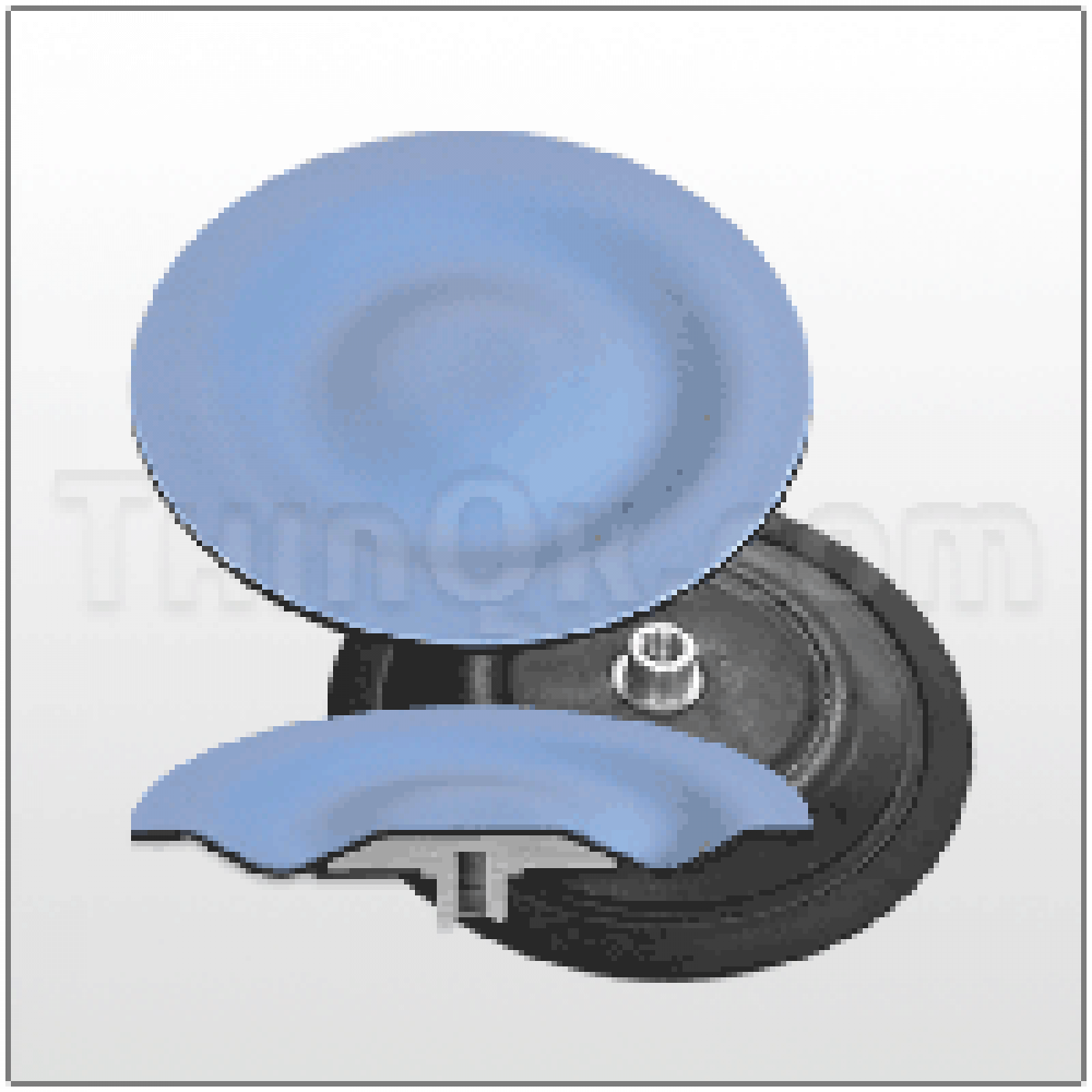 T832549 ДИАФРАГМА ТЕФЛОН