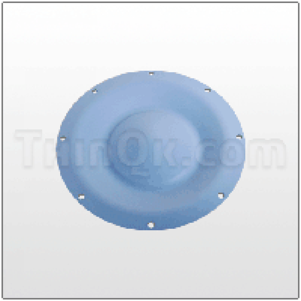 T6-200-15-1 диафрагма PTFE