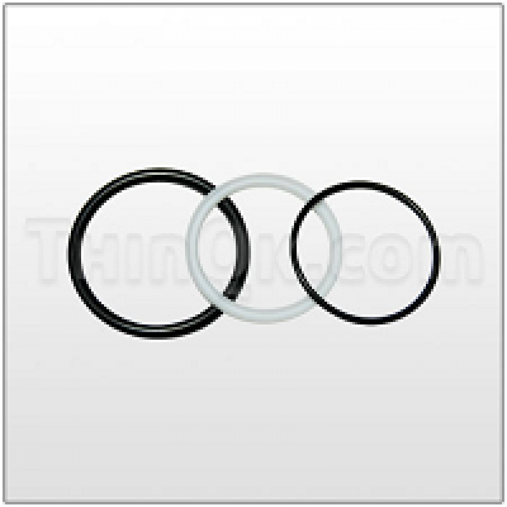 T6-100-18-1 комплект колец PTFE