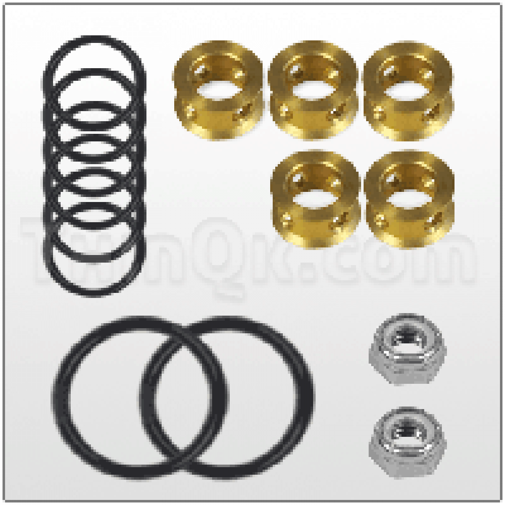 TE2A PV KIT ВОЗДУШНЫЙ КЛАПАН К-КТ