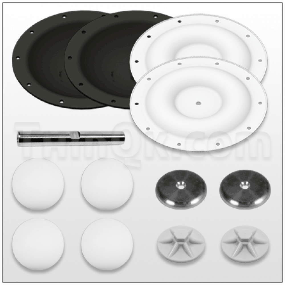 TE2PA TF CV KIT РЕМКОМПЛЕКТ
